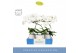Phalaenopsis wit Balletto Wing 1 spike in Emilia White Aquo 9 bl. 1 ta 