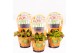Vleesetende planten Little Monster Plants Dionaea Halloween 