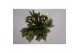 Schlumbergera TRICOLORE (pink/red/white) - Decorum 35 bl. 