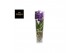 Vanda hybriden Vanda Lisanne 70 Purple 1 tak/plnt 