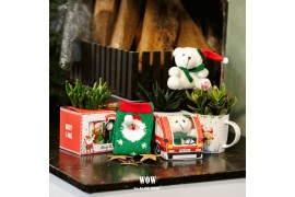 Arrangementen succulenten WOW Succulent, X-Mas mug and bear + mug and 