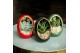 Arrangementen succulenten TRULY Succulent, Egg Colour mix gold1 pp 