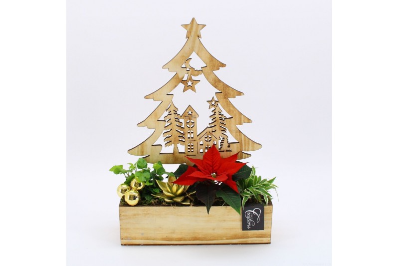 Arrangementen euphorbia pulcherrima POCR-2511 Poinsettia creatie 4 pp 