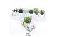 Arrangementen succulenten WOW Succulent, Mug and bunny1 pp 