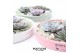 Arrangementen succulenten ROOTLESS Echeveria garden, Octopus bowl3 pp 