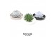 Arrangementen succulenten ROOTLESS Succulent, Panda bowl1 pp 
