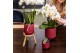 Keramische pot Kolibri Home Flare pot red 