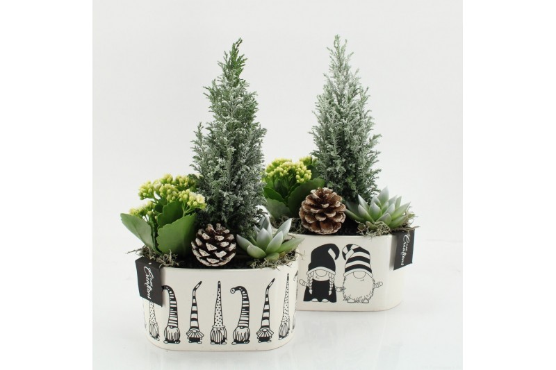 Arrangementen kerst XMAS-25281 Kerst creatie 3 pp 