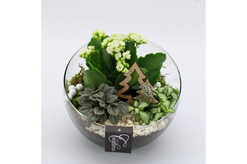 Arrangementen kerst XMAS-25052 Kerst creatie 3 pp 