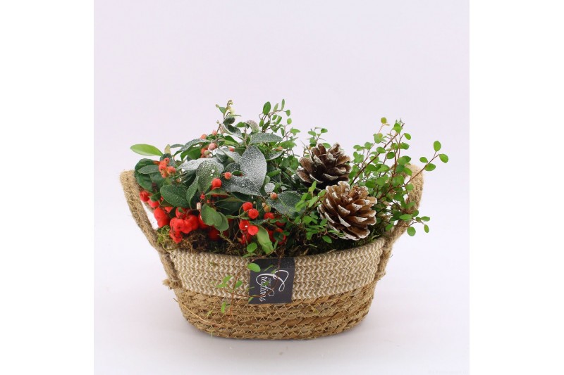 Arrangementen gaultheria GACR-2521 Gaultheria creatie 2 pp 