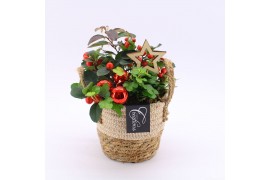 Arrangementen gaultheria l% GACR-2501 Gaultheria creatie 2 pp