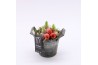 Arrangementen hyacinthus XHF-2521 Xmas Hyacint Fundamentals 1 pp