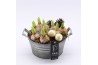 Arrangementen hyacinthus XHF-2526 Xmas Hyacint Fundamentals 3 pp
