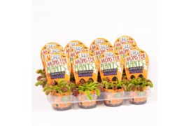 Vleesetende planten Little Monster Plants Dionaea Halloween