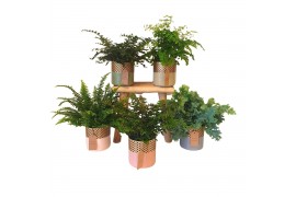 Varens mix Varen mix in waxinelicht35 cm diameter