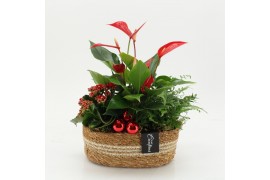 Arrangementen kerst XMASXL-2525 Kerst XL 3 pp