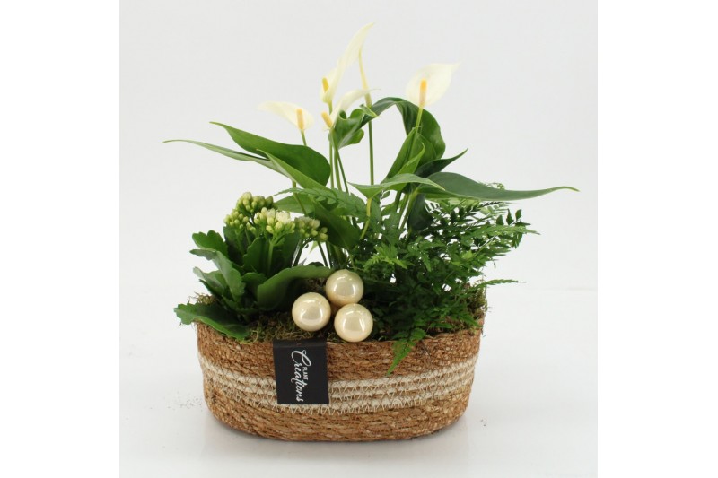 Arrangementen kerst XMASXL-2526 Kerst XL 3 pp 