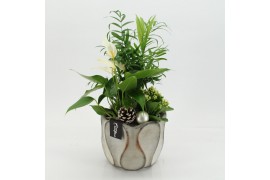 Arrangementen kerst XMASXL-2511 Kerst XL 3 pp