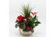 Arrangementen kerst XMASXL-2517 Kerst XL 5 pp 
