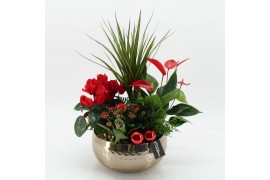 Arrangementen kerst XMASXL-2517 Kerst XL 5 pp