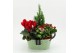 Arrangementen kerst XMASXL-2529 Kerst XL 4 pp 