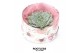 Arrangementen succulenten ROOTLESS Echeveria pulidonis, Love box1 pp 