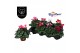 Cyclamen pers. super serie verano Cyclaam Garden Verano Mix 17 cm diam 
