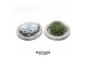 Arrangementen succulenten ROOTLESS succulent, Koala bowl1 pp 