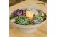 Arrangementen succulenten ROOTLESS Echeveria 9x, 7-10 cm presentatie d 