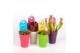 Vleesetende planten Vleesmix mini in kleurpot 