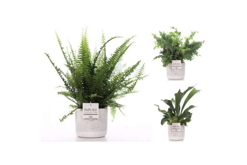 Varens mix Varenmix in pure Jade 4 