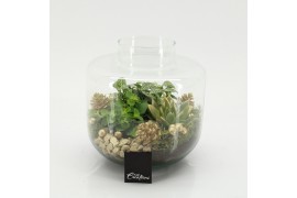 Arrangementen kerst XMAS-25215 Kerst creatie terrarium 3 pp