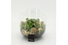 Arrangementen kerst XMAS-25215 Kerst creatie terrarium 3 pp