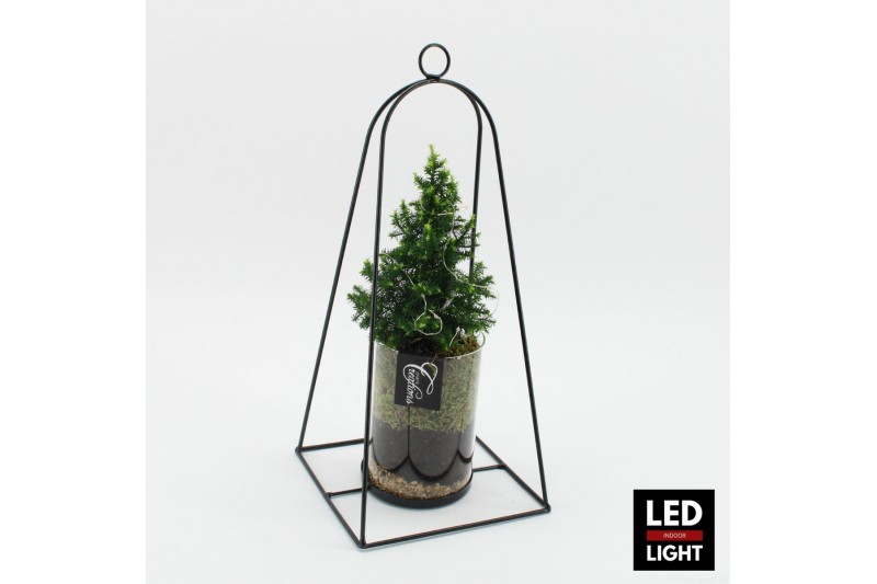 Arrangementen kerst XMAS-25310LED Kerst creatie 1 pp 