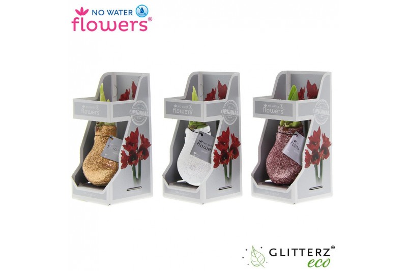 Hippeastrum gewaxt No Water Flowers Glitterz® Charm mix in Gift Box2 t 
