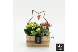 Arrangementen kerst XMAS-25249LED Kerst creatie 2 pp