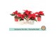 Euphorbia pul. christmas feelings red Euph. Poinsettia Mini Red in Exc 