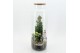Arrangementen kerst XMAS-25226 Kerst creatie terrarium 2 pp 
