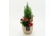 Arrangementen kerst XMAS-25268 Kerst creatie 2 pp 
