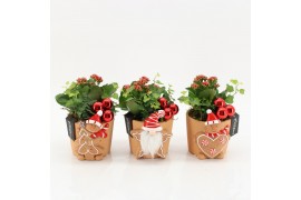 Arrangementen kerst XMAS-25244 Kerst creatie 2 pp