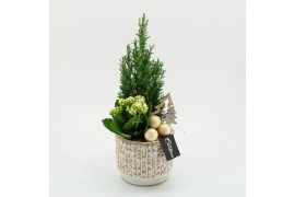 Arrangementen kerst XMAS-25304 Kerst creatie 2 pp