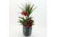 Arrangementen kerst XMASXL-2513 Kerst XL 3 pp 