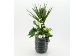 Arrangementen kerst XMASXL-2514 Kerst XL 3 pp