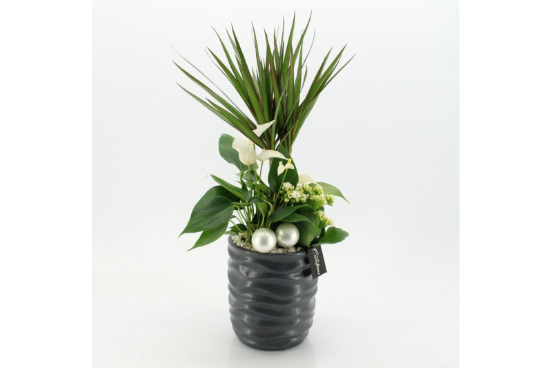 Arrangementen kerst XMASXL-2514 Kerst XL 3 pp 