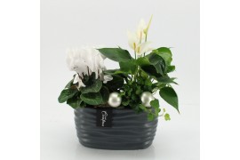 Arrangementen kerst XMASXL-2516 Kerst XL 3 pp