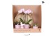 Phalaenopsis Kolibri Gift Set Love pink3 pp 3 tak/plnt 24 bl. 