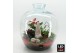 Arrangementen kerst XMAS-25318LED Kerst creatie terrarium 5 pp 