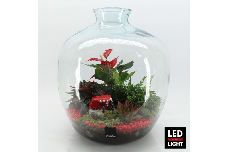 Arrangementen kerst XMAS-25320LED Kerst creatie terrarium 5 pp 
