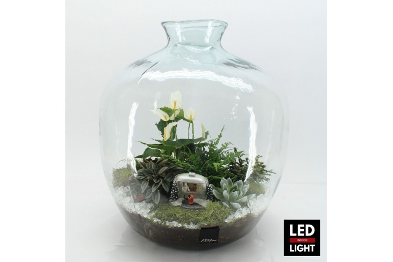 Arrangementen kerst XMAS-25321LED Kerst creatie terrarium 5 pp 