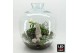 Arrangementen kerst XMAS-25319LED Kerst creatie terrarium 5 pp 